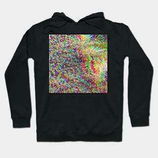 Psychedelia on the Forest Floor Hoodie